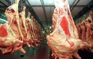 En 2013 Paraguay exportó 307.000 toneladas de carne y subproductos por valor de más de 1.300 millones de dólares
