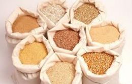 Precios de los cereales seguirán cayendo “uno o dos años más, antes de estabilizarse a niveles que estarán por encima del período previo a 2008