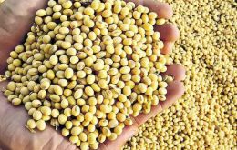 La abundancia de soja a nivel mundial por buenas cosechas ha hecho caer el precio y con ello las detracciones que cobra el estado argentino 