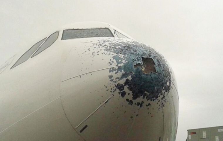 Estado en que quedó el parabrisas y nariz del avión de Air Europa, que vio su regreso a Madrid demorado 