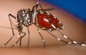 Ambos virus son transmitidos por el mosquito Aedes Aegypti, que está presente en casi todos los países de las Américas