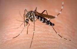 “Con el inicio del período de lluvias, es fundamental que la población refuerce las acciones para la eliminación de los criaderos de los mosquitos”, 