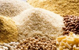 El fuerte retroceso en el precio de los cereales se debió a “las previsiones de una producción récord y a abundantes inventarios”