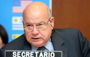 La elección para nombrar el sucesor de José Miguel Insulza tendrá lugar el 18 de marzo. El otro candidato es el ex canciller de Guatemala, Eduardo Stein