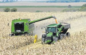Lluvias abundantes en el sur hicieron que Conab elevara levemente sus pronósticos para la primera cosecha de maíz desde las 29,6 millones de toneladas