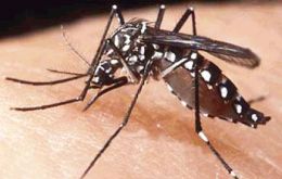 La aparición de un caso autóctono implica la existencia de mosquitos Aedes aegypti infectados con el virus y por ende capaces de transmitir el dengue