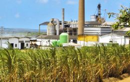 La decisión atiende el pedido de la industria de caña de azúcar, que espera aumentar la demanda del alcohol carburante en 1.000 millones de litros anuales