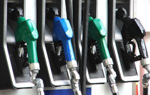 Los analistas privados consideran que los llamados “precios administrados”, regulados por el Gobierno, como los combustibles y la energía, subirán este año un 12%. 