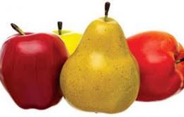 “La decisión brasileña de suspender la importación de peras, manzanas y membrillos sorprendió” a Argentina ya que no hubo una comunicación previa.