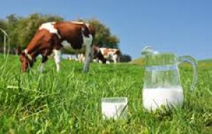 En tanto el índice de precios para los productos lácteos aumentó en marzo por segundo mes consecutivo, para llegar a 184,9 puntos, 1,7 por ciento por encima de febrero