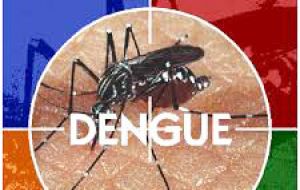 La región más afectada por la enfermedad que transmite el mosquito Aedes aegypti es Centro-Oeste, con 59.855 casos y una incidencia de 393,3 enfermos