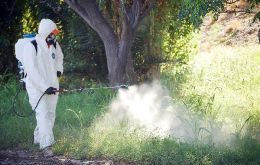 La fumigación se centrará en eliminar los criaderos del mosquito “Aedes aegypti”, que es el transmisor del chikunguña