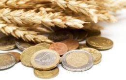 Los precios de los cereales registraron una caída en su índice de un 1,3%, explicado en parte por la baja en los valores del trigo 