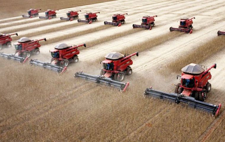 La producción de cereales, leguminosas y oleaginosas superará en un 6,7% la de 2014 (192,9 millones de toneladas), hasta ahora la mayor cosecha para Brasil 