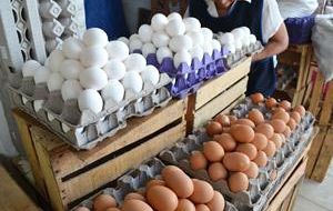 En el otro extremo, el huevo bajó de precio en varios países de la región, como sucedió en mayo y junio, según el informe de la FAO.
