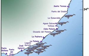 El santuario de ballenas y delfines uruguayo abarca todas las aguas del país y su zona económica exclusiva.