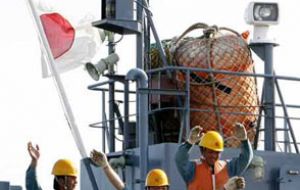 Tokio autorizará cazar 333 ejemplares de ballena Minke para cumplir la sentencia de 2014 de la CIJ