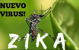 La alerta epidemiológica también instó a redoblar sus esfuerzos para reducir la presencia del mosquito transmisor del zika.