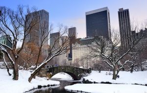 Nueva York registró el fin de semana la segunda mayor nevada de su historia, con más de 67 centímetros en Central Park