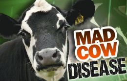 ”Se sospecha de un caso de Encefalopatía Espongiforme Bovina (ESB) detectado en una vaca de cinco años muerta prematuramente” confirmado por la UE