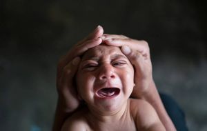 La confirmación se basa en una serie de estudios en Brasil, donde miles de bebés nacieron con defectos el año pasado al mismo tiempo que había un brote de zika