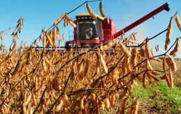 “La apacible marcha hacia otra cosecha de soja en torno de los 60 millones de toneladas, como el año pasado, quedó súbitamente en suspenso”, indicó el informe.