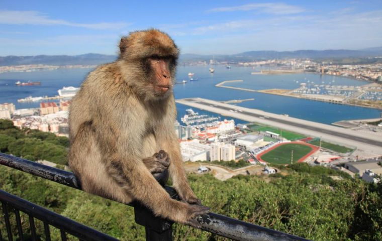 El capítulo de Gibraltar se emitirá en BBC4 este martes 26 de abril a las 21:00 h. y volverá a emitirse el miércoles 27 de abril a las 20:00 h. (hora de Gibraltar).