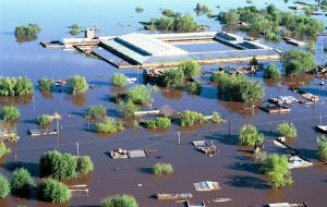 En Santa Fe con casi la mitad de su territorio bajo inundación, la emergencia rige durante todo el 2016 para “todas las actividades y explotaciones agropecuarias”.
