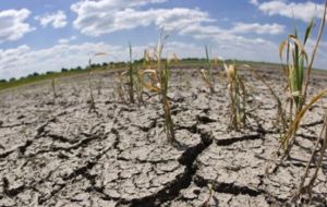 Se han perdido 5.000has de cultivos y otras 45.000has se hallan afectadas por déficit hídrico, “poniendo en riesgo la seguridad alimentaria de poblaciones vulnerables”