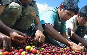 “En Bolivia, Honduras y Nicaragua la proporción del empleo informal sigue superando el 70%, mientras que en Colombia, México y Perú equivale al 50%”