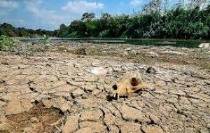 “En Sudamérica definitivamente Colombia y Venezuela son países que han tenido grandes impactos desde el punto de vista de la sequía”, aseguró Martínez