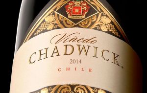 Suckling publicó su reporte titulado “Chile’s Evolving Quality Wine World”, donde otorgó el máximo puntaje (100 puntos) a Viñedo Chadwick 2014.