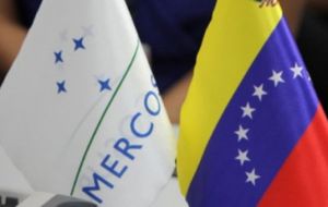 “Ha quedado perfectamente claro que la misma no guarda relación alguna con la consideración del traspaso de la Presidencia Pro Tempore del Mercosur”