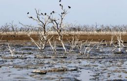 Por tratarse de la peor sequía en los últimos 19 años y como no ha llovido desde abril en el Chaco, la región paraguaya fronteriza del lecho del río quedó a la vista.