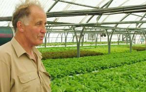 El exitoso emprendedor hortícola en invernaderos Tim Miller quien en verano abastece de tomates, pepinos, morrones a las Islas y barcos cruceros
