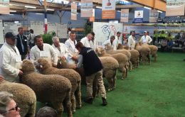El grupo de productores de Falklands también estuvo presente en los remates de lana de Melbourne 