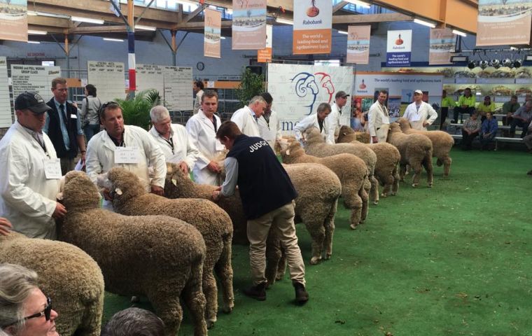 El grupo de productores de Falklands también estuvo presente en los remates de lana de Melbourne 