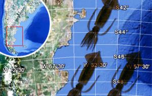 “También se acordó en la importancia del intercambio de información relativa a los caladeros en el Atlántico sur, particularmente el calamar migrante Illex” (Foto FIS)
