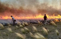 Son seis los focos que continúan activos en el oeste de La Pampa, donde las llamas quemaron en los últimos días más de 300.000 hectáreas