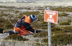 Alambrados perimetrales y señalamientos, un paisaje común en muchos lugares de las Falklands  