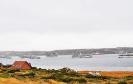 Una vista de los poteros y otros embarcaciones de pesca en la bahía de Stanley cuando pasan a recoger sus licencias de pesca (Pic R.Goodwin)