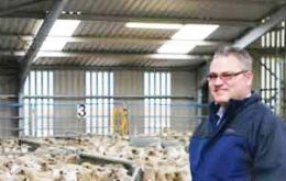 Un invierno templado ayudó para que los ovinos enviados a planta, llegaran con peso promedio superiores a la zafra anterior, dijo Roberts.
