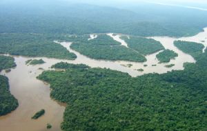 La decisión del Senado implica que la Floresta Nacional de Jamanxim, en el Estado de Pará, vaya a perder 480.000 hectáreas de los 1,3 millones que la integraban. 