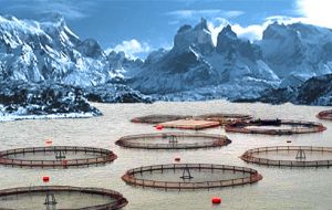 Chile ocupa el 9° lugar en la producción acuícola mundial, con retornos sobre los US$ 4.000 millones. 