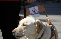 ”No se admiten animales que no sean perros de asistencia y perros de seguridad en el Palacio o cualquiera de sus dependencias (aparte de las residencias)”. 
