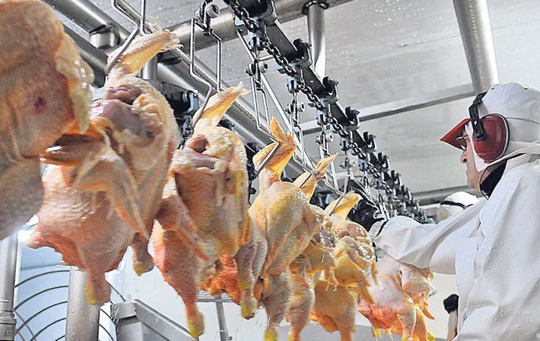 Se estima que un 50% del suministro de pollo en China, el segundo mayor consumidor de esta carne del mundo, procedía del Brasil entre 2013 y 2016. 