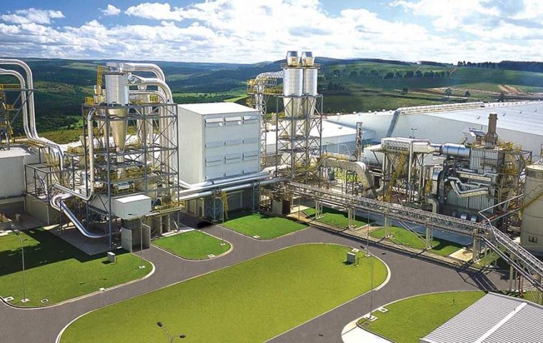 La planta Montenegro en Río Grande do Sul cuenta con una capacidad instalada de 500 mil m3 anuales para producir panales aglomerados y melaminizados