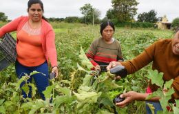 La medida afecta “sólo en Bs As a unas 20.000 familias, la mayoría bolivianas, que producen el ciento por ciento de hortalizas que se consumen en la capital argentina