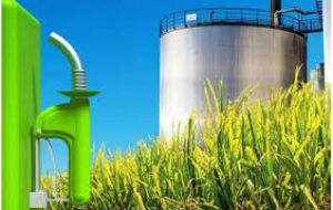 Mercosur pretende como mínimo el acceso al mercado europeo de las carnes y los biocombustibles como el etanol