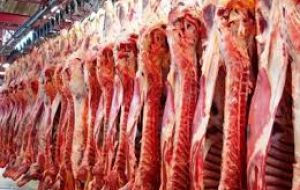 UE baraja ofrecer una cuota anual de 70.000 toneladas para la carne vacuna del Mercosur, que habría demandado un mínimo cercano a las 300.000 toneladas